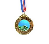 Medalla de ganador del premio de oro con diseño de tortuga marina y peces de ciencia, cinta para primer lugar