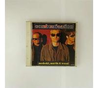 MEDESKI, MARTIN & WOOD - Combustication