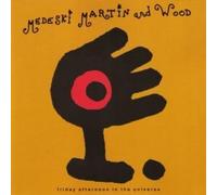 Medeski, Martin & Wood - Friday Afternoon In The Universe