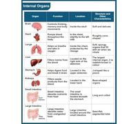 Medical Education Human Internal Organs Poster - Anatomy Learning Tool for Students and Healthcare Professionals - Classroom Hospital Decor(Unframed,08x12inch(20x30cm))