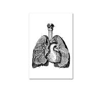 Medical Human Anatomy Canvas Fotografías de póster en blanco y negro Cuerpo esqueleto Músculo Anotado impreso Pintura pared cuadro decoración del hogar(Picture E,A2 42x60cm Unframed)