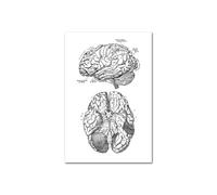 Medical Human Anatomy Canvas Fotografías de póster en blanco y negro Cuerpo esqueleto Músculo Anotado impreso Pintura pared cuadro decoración del hogar(Picture L,A1 60x85cm Unframed)