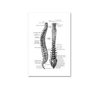 Medical Human Anatomy Canvas Fotografías de póster en blanco y negro Cuerpo esqueleto Músculo Anotado impreso Pintura pared cuadro decoración del hogar(Picture F,15x20cm Unframed)