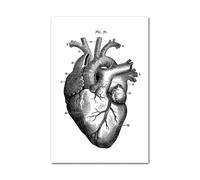 Medical Human Anatomy Canvas Fotografías de póster en blanco y negro Cuerpo esqueleto Músculo Anotado impreso Pintura pared cuadro decoración del hogar(Picture K,A3 30x42cm Unframed)