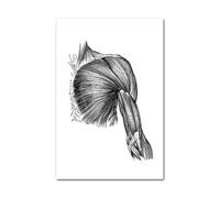 Medical Human Anatomy Canvas Fotografías de póster en blanco y negro Cuerpo esqueleto Músculo Anotado impreso Pintura pared cuadro decoración del hogar(Picture I,40x50cm Unframed)