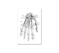 Medical Human Anatomy Canvas Fotografías de póster en blanco y negro Cuerpo esqueleto Músculo Anotado impreso Pintura pared cuadro decoración del hogar(Picture J,60x90cm Unframed)