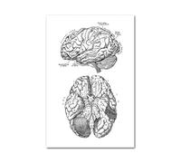 Medical Human Anatomy Canvas Fotografías de póster en blanco y negro Cuerpo esqueleto Músculo Anotado impreso Pintura pared cuadro decoración del hogar(Picture L,15x20cm Unframed)