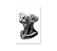 Medical Human Anatomy Canvas Fotografías de póster en blanco y negro Cuerpo esqueleto Músculo Anotado impreso Pintura pared cuadro decoración del hogar(Picture G,13x18cm Unframed)