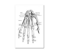 Medical Human Anatomy Canvas Fotografías de póster en blanco y negro Cuerpo esqueleto Músculo Anotado impreso Pintura pared cuadro decoración del hogar(Picture J,15x20cm Unframed)