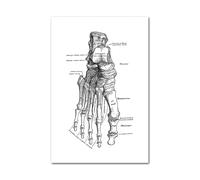 Medical Human Anatomy Canvas Fotografías de póster en blanco y negro Cuerpo esqueleto Músculo Anotado impreso Pintura pared cuadro decoración del hogar(Picture D,40x50cm Unframed)