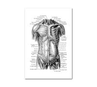 Medical Human Anatomy Canvas Fotografías de póster en blanco y negro Cuerpo esqueleto Músculo Anotado impreso Pintura pared cuadro decoración del hogar(Picture B,13x18cm Unframed)