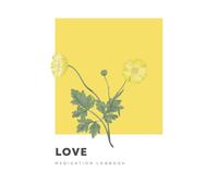 Medication Log Book: 1-Year Daily Medicine Tracker with Dosage, Time & Notes | Includes Personal Information & Emergency Contacts | Health Journal for Home or Caregivers (6x9”)