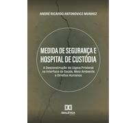 Medida de Segurança e Hospital de Custódia: A Desconstrução da Lógica Prisional na Interface da Saúde, Meio Ambiente e Direitos Humanos