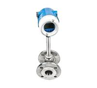 Medidor de flujo, Medidor de flujo de líquido compacto Dn25 DN50, de aplicación de gas de fábrica, medidor de flujo de medida de líquido de aire Para llenar su autocaravana(DN125)