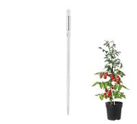 Medidor de humedad del suelo, portátil, multiusos, cambio de color, medidor de agua para plantas de interior, exterior, hogar, balcón, patio, césped, bonsái, verduras, frutas