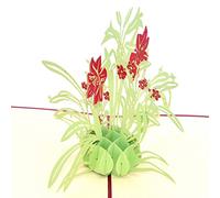 Medigy 3D Pop Up tarjetas de felicitación Narciso flor tarjetas en blanco para la mayoría de Occastions de amarillo