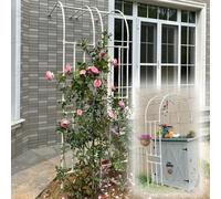 Medio Lado Arco de Jardín, 2,4m Arco de Rosas de Metal, W60xH240cm W90xH240cm W120xH240cm W150xH240cm Las Plantas De Enrejado De Hierro Duradero De Arco ( Color : White , Tamaño : W120xH240x40cm )