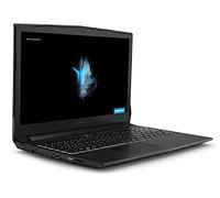 Medion ERAZER P6705 - Ordenador portátil 15,6" FullHD (Intel Core i7-8750H, 16GB RAM, 1TB HDD + 256GB SSD, Nvidia GTX1050Ti-4GB, Windows10) Negro - Teclado QWERTY español