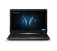 MEDION ERAZER X7861 - MD 61177 - Ordenador portátil gaming de 17.3" (Intel Core i7-8750H, 16 GB RAM, 1 TB HDD, 256 GB SSD, Nvidia GeForce GTX 1070, Windows 10) negro - Teclado QWERTY Español