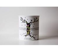 Meditathe - Polo Sud 337 Taza literaria, Shelley