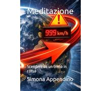 Meditazione: Scendere da un treno in corsa