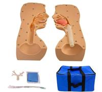 Medizinisches Trainingsset für Erwachsene: Nasenhöhlen- und Mundsputum-Absaugmodell, Intubationsmodell für Erwachsene, umfassendes Atemwegsmanagement-Set mit abnehmbarer Trachea, 1:1 lebensg