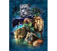 Meecaa Paint by Numbers Beast Animal Lion Tiger Leopard Kit para Adultos Principiante DIY Pintura al óleo 16 x 20 pulgadas (Bestia, sin marco)