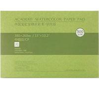 MEEDEN 15×10.2" papel de acuarela de algodón Textured Surface Watercolor Pad, Cold Press, 140lb/300gsm, 20 hojas para pintura