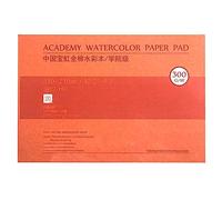 MEEDEN Bloque de papel de acuarela, almohadilla de papel de acuarela de algodón con superficie texturizada de 300 g/m², prensado en frío, 20 hojas para pintar y dibujar, húmedo, técnica mixta, 31 x 21