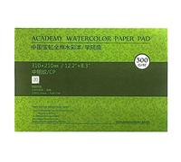 MEEDEN Bloque de papel de acuarela, almohadilla de papel de acuarela de algodón con superficie texturizada de 300 g/m², prensado en frío, 20 hojas para pintar y dibujar, húmedo, técnica mixta, 31 x 21
