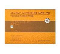 MEEDEN Bloque de papel de acuarela, superficie de textura de 300 g/m², almohadilla de papel de acuarela, grano áspero, 20 hojas para pintar y dibujar, húmedo, técnica mixta, 31 x 21 cm