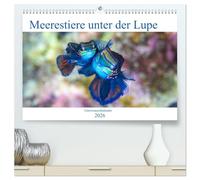 Meerestiere unter der Lupe - Unterwasserkalender (hochwertiger Premium Wandkalender 2026 DIN A2 quer), Kunstdruck in Hochglanz: Erleben Sie die ... Wasser! Ein Kalender nicht nur für Taucher.