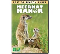 Meerkat Manor: Best of Season 3 [USA] [DVD]