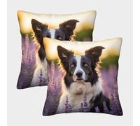 MEFESE Lindo Perro Border Collie Fundas Cojines Decorativa Juego De 2 Funda De Almohada Poliéster Cuadradas Un Detalle Romántico para La Persona Que Amas 45x45cm