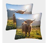 MEFESE Vaca de Las Tierras Altas Fundas Cojines Antialérgicas 2 Piezas Vaca lechera Funda De Almohada Poliéster Cuadradas Funda De Cojín para Sofá 40x40cm