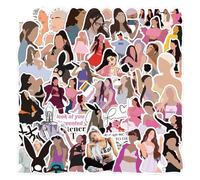 MefoAr 50pcs Cantante Pegatinas Pop Star, Pegatinas de Vinilo Musical Equipaje Notebook Teléfono Móvil Botella Coche Pared DIY Impermeable Pegatinas Fan Regalos Arte Imagen (B,50 PCS)