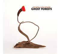 Meg Baird - Ghost Forests [Vinilo]