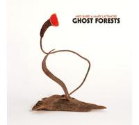 Meg Baird & Mary Lattimore Ghost Forests (Vinyl) (Importación USA)