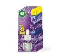 MEGA PACK de 6, Air Wick Eléctrico - Recambio para Ambientador Eléctrico Air Wick con aroma a Lavanda, infusionado con 2 veces más aceites esenciales