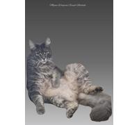 Megan Wingrove Notebook | A4 Graph Paper | 100 Pages | Paperback | Just Chilling Comfy Cat Cover: Suitable for all ages