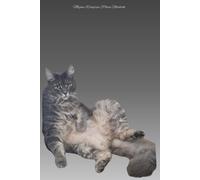 Megan Wingrove Notebook | A5 Plain Paper | 200 Pages | Paperback | Just Chilling Comfy Cat Cover: Suitable for all ages
