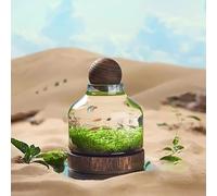 MegLob Acuario para Peces Betta, Pecera De Vidrio con Base De Madera, Acuario Micropaisajístico, Acuario 2 En 1 con Florero De Vidrio, Pecera Moderna para Exhibir sobre La Mesa,S