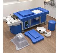 MegLob Cama De Equipos De Spa Head, Cama De Champú Japonesa De Servicio Pesado Y Mesa De Masaje, Unidad De Retrolavado De Champú De Masaje De Agua En Forma De U Con Almohada De Tapa