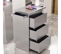 MegLob Soporte De Acero Inoxidable Para Salón, Estación De Trabajo De Almacenamiento Resistente Para Barbería, Carrito De Almacenamiento Profesional Para Peluquería,Silver pro