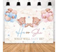 MEHOFOND Telón de fondo de revelación de género de oso con texto en inglés "He or She Pink or Blue We Can Bearly Wait Baby Shower Paty Decoration", pancarta de nubes, estrellas, globos rosados y