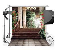 Mehofoto 5 x 7 ft/1,5 x 2,2 m fondos rojo rosa fondo de fotografía para fotografía gran sala de soles con pilar fondos de fotografía Studio Props