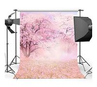 Mehofoto fondos Sakura flor foto fondo rosa color jardín fondo para fotógrafo