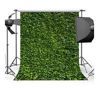Mehofoto telón de fondo para fotografía profesional, 2 x 3 m, diseño de hojas verdes
