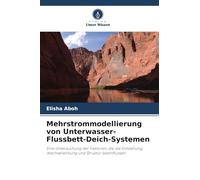 Mehrstrommodellierung von Unterwasser-Flussbett-Deich-Systemen: Eine Untersuchung der Faktoren, die die Entstehung, Wechselwirkung und Struktur beeinflussen