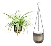 Meicynhoger 2 Macetas Colgantes Autoriego Retro - Maceta Decorativa de 16.5 cm con Ganchos para Plantas,Uso en Interior/Exterior: Balcón, Pared, Terraza y Jardín Gris